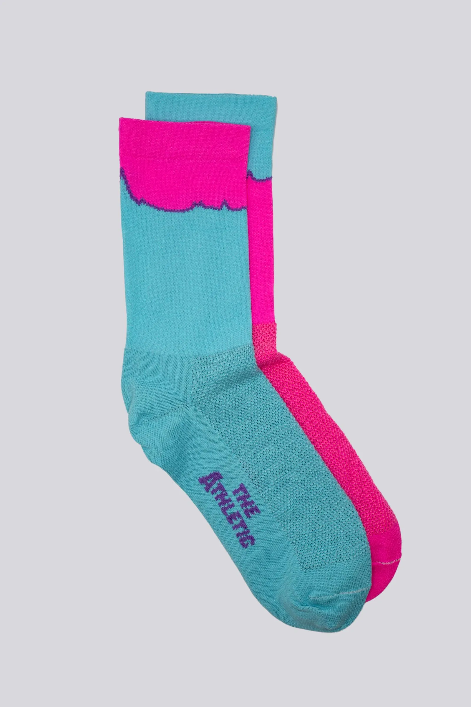 Elevation Hood to Coast Socks