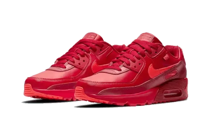 Nike Air Max 90 Chi-City Special